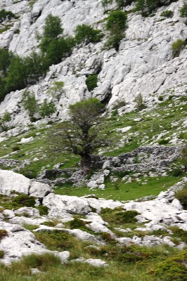 ../Images/2012.05.22 (132).jpg